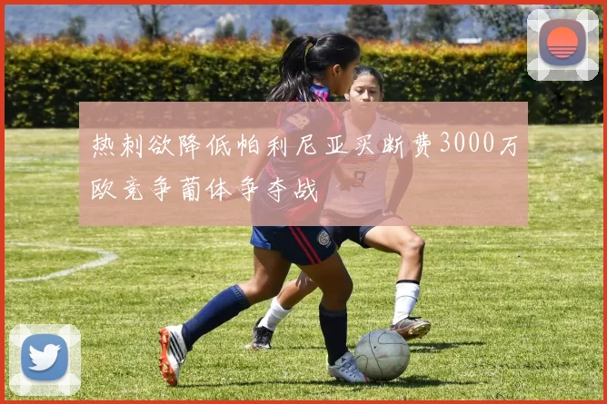 热刺欲降低帕利尼亚买断费3000万欧竞争葡体争夺战